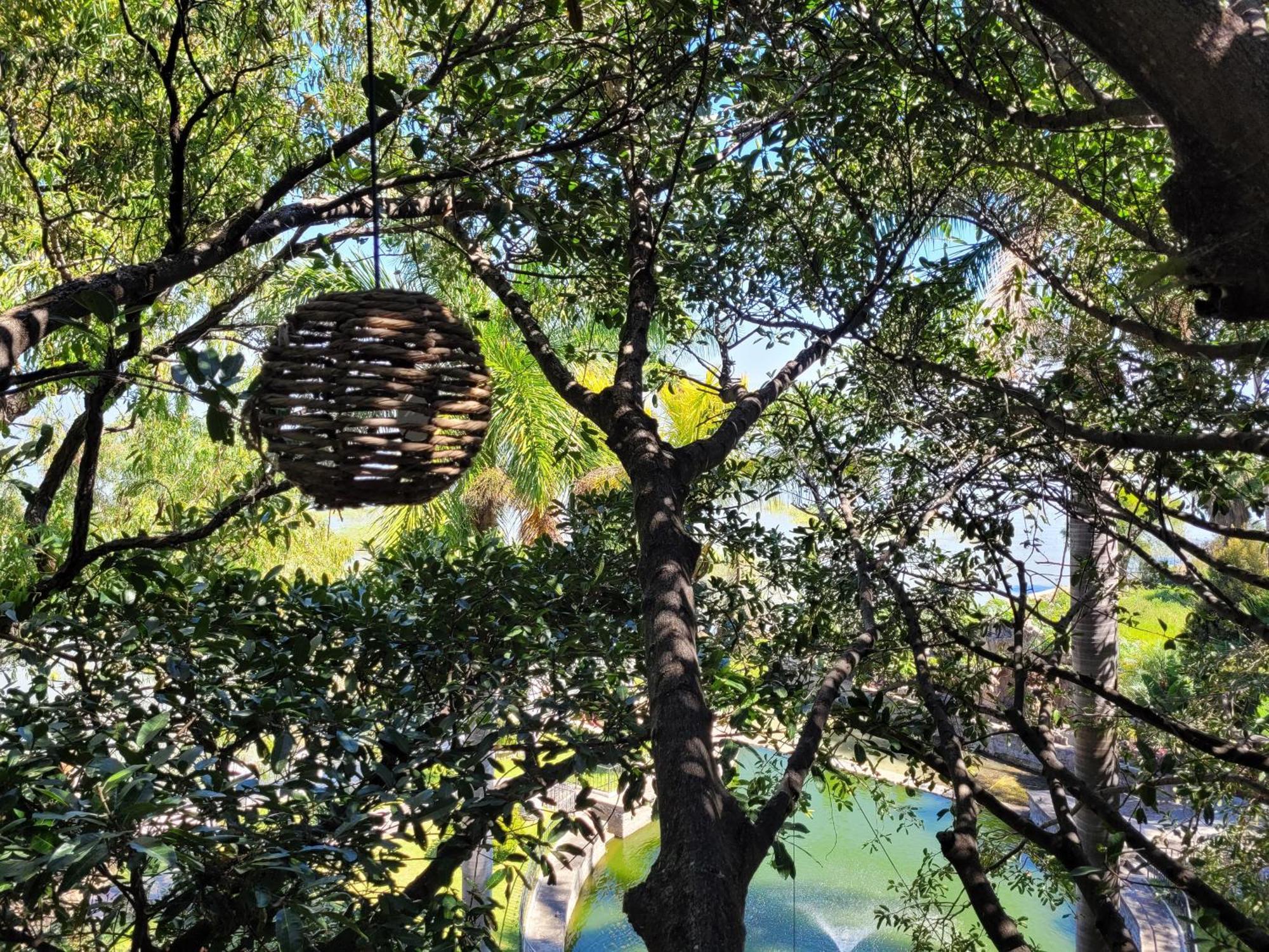 Nido Ecoluxury - Villa San Luis Boutique San Luis Soyatlán Екстериор снимка